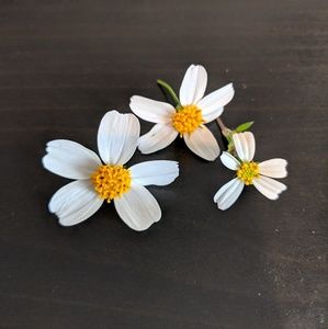 Meet your Posher, April